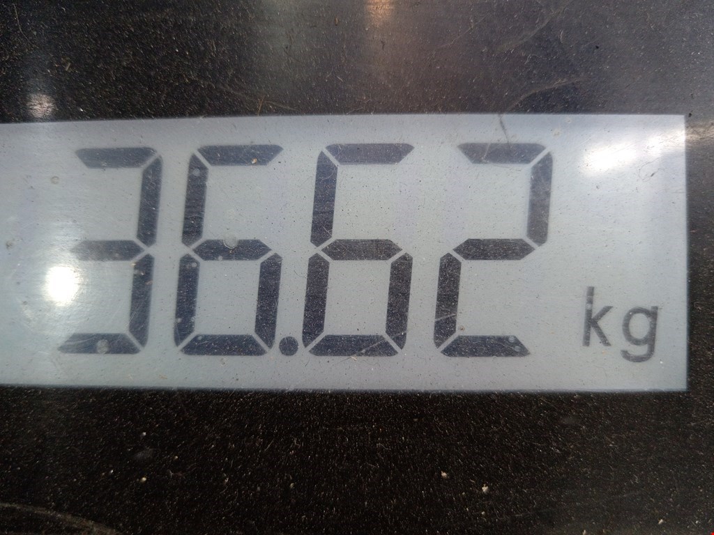 КПП 5ст (механическая коробка) Renault Scenic 2 купить в Беларуси