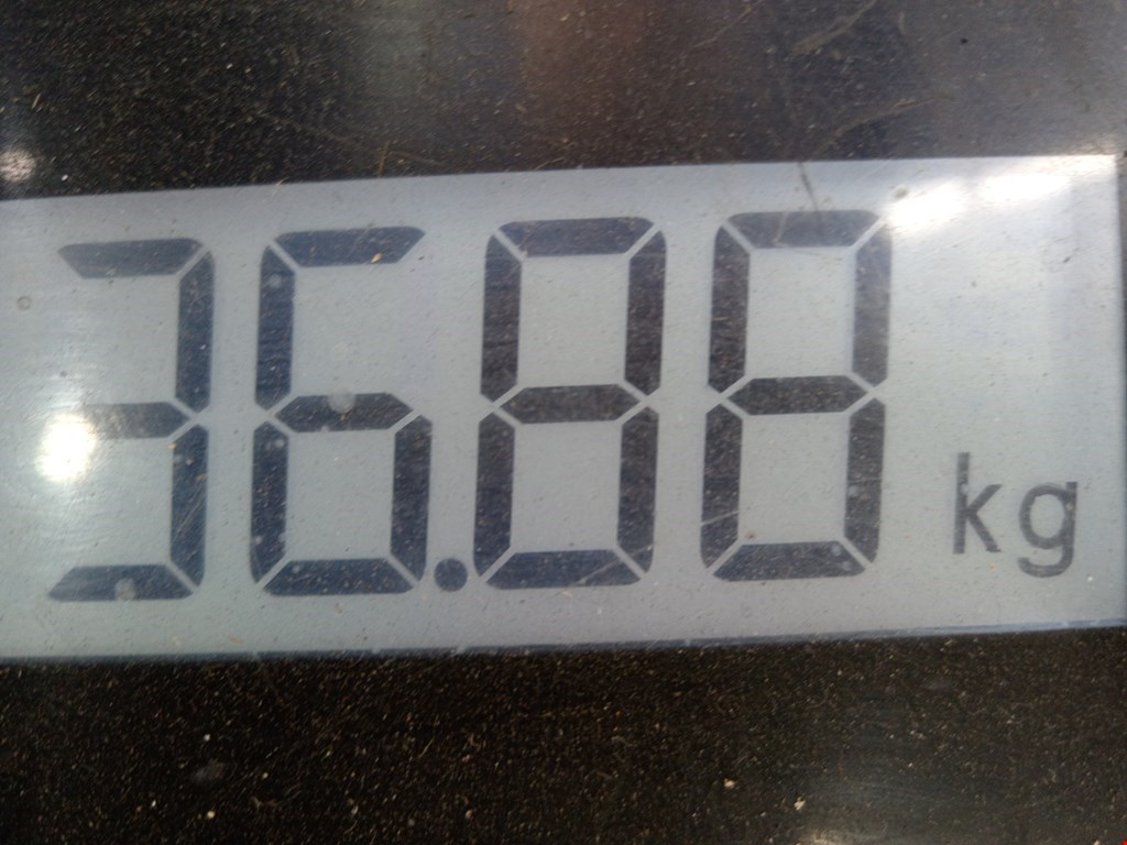 КПП 5ст (механическая коробка) Renault Scenic 2 купить в Беларуси