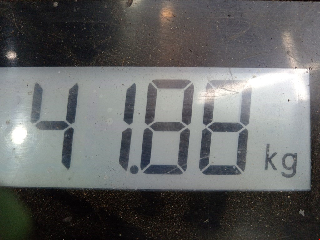 КПП 6ст (механическая коробка) Renault Scenic 2 купить в Беларуси