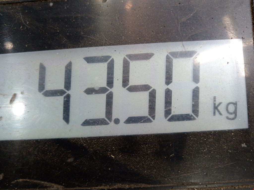 КПП 5ст (механическая коробка) Audi TT 8N купить в Беларуси