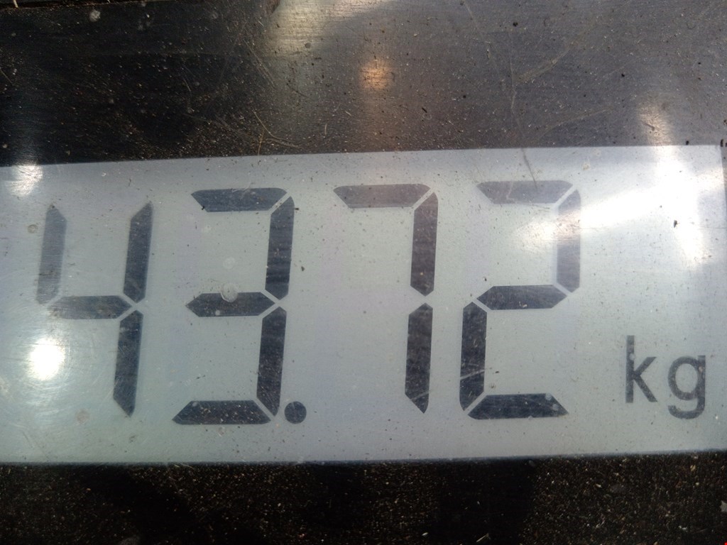 КПП 6ст (механическая коробка) Renault Scenic 3 купить в Беларуси