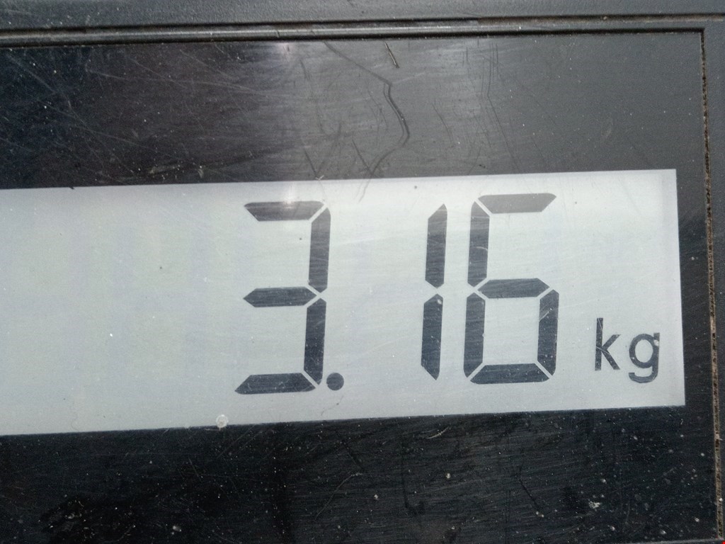 Стартер Volkswagen Golf Sportsvan купить в Беларуси