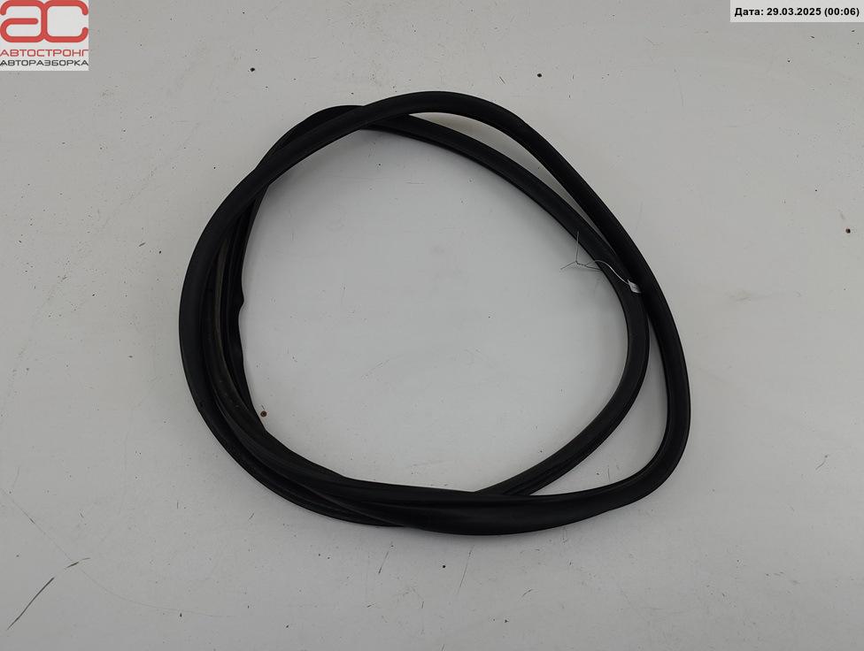 Уплотнитель Citroen C4 Grand Picasso 1 купить в Беларуси